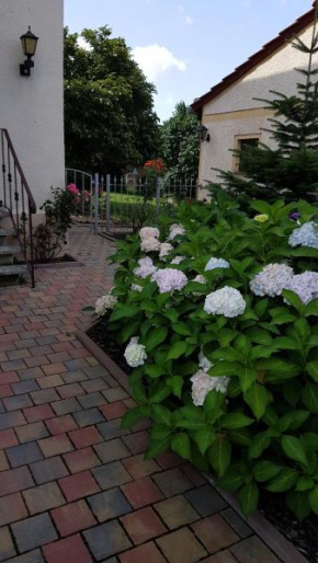 Hotels in Grimma